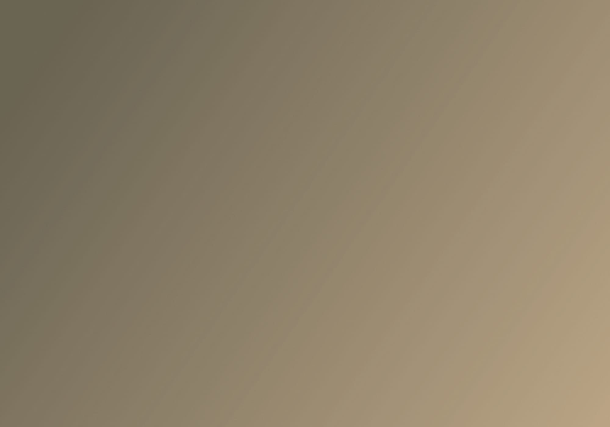 Academic Marketing Brief 